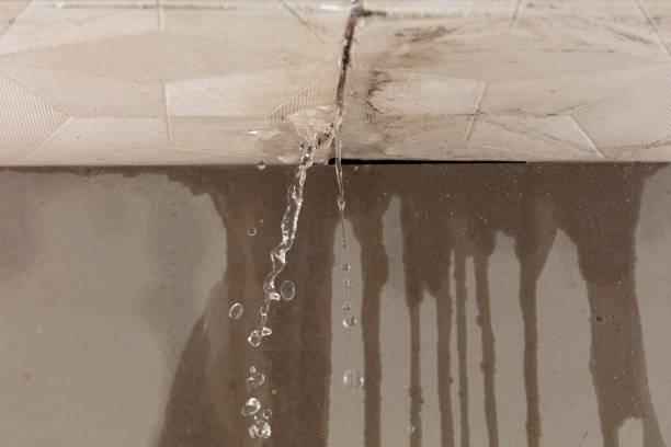 Professional Water Extraction technician working in Pelham, TN